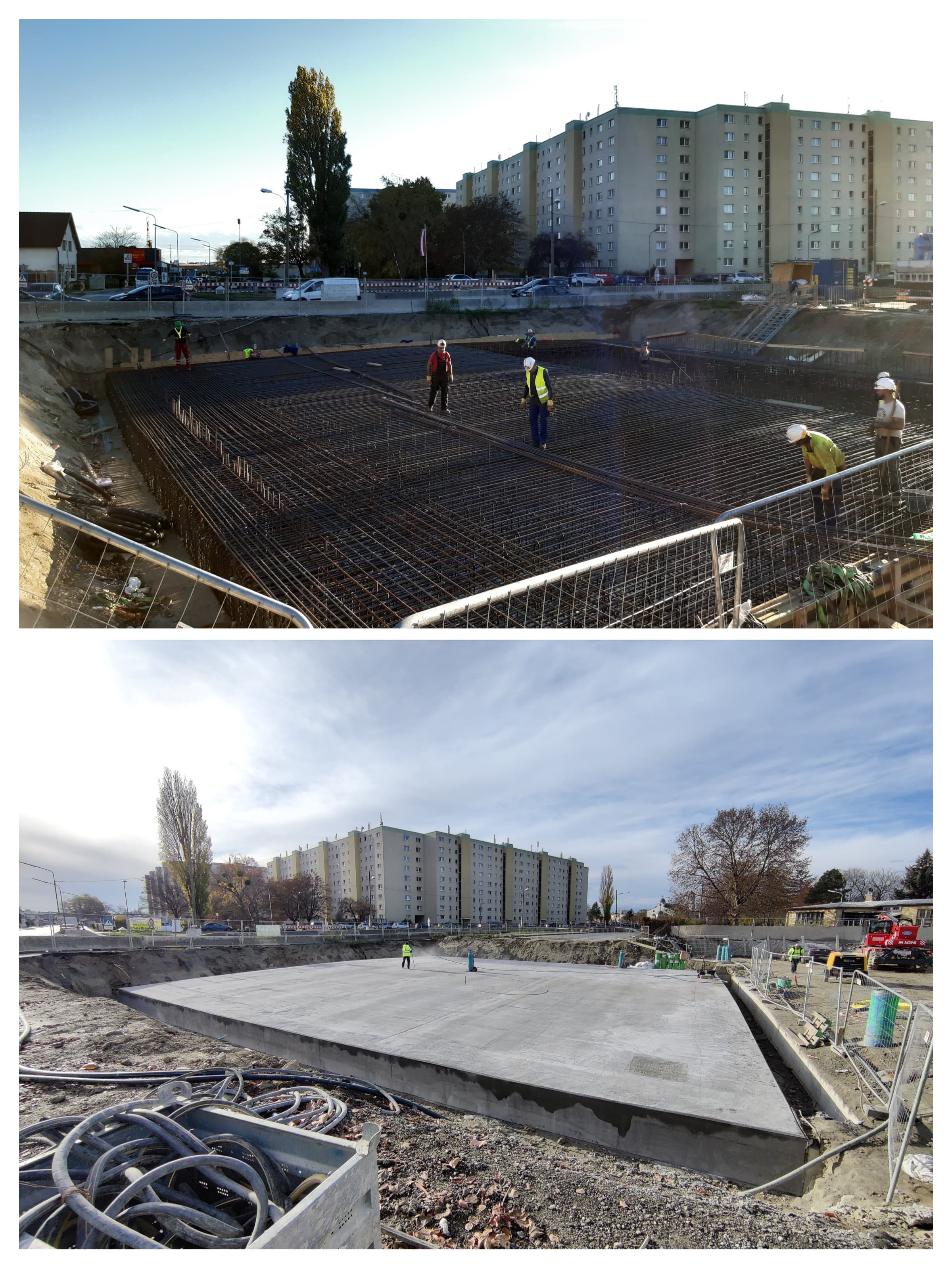 20230130_133835-COLLAGE.jpg