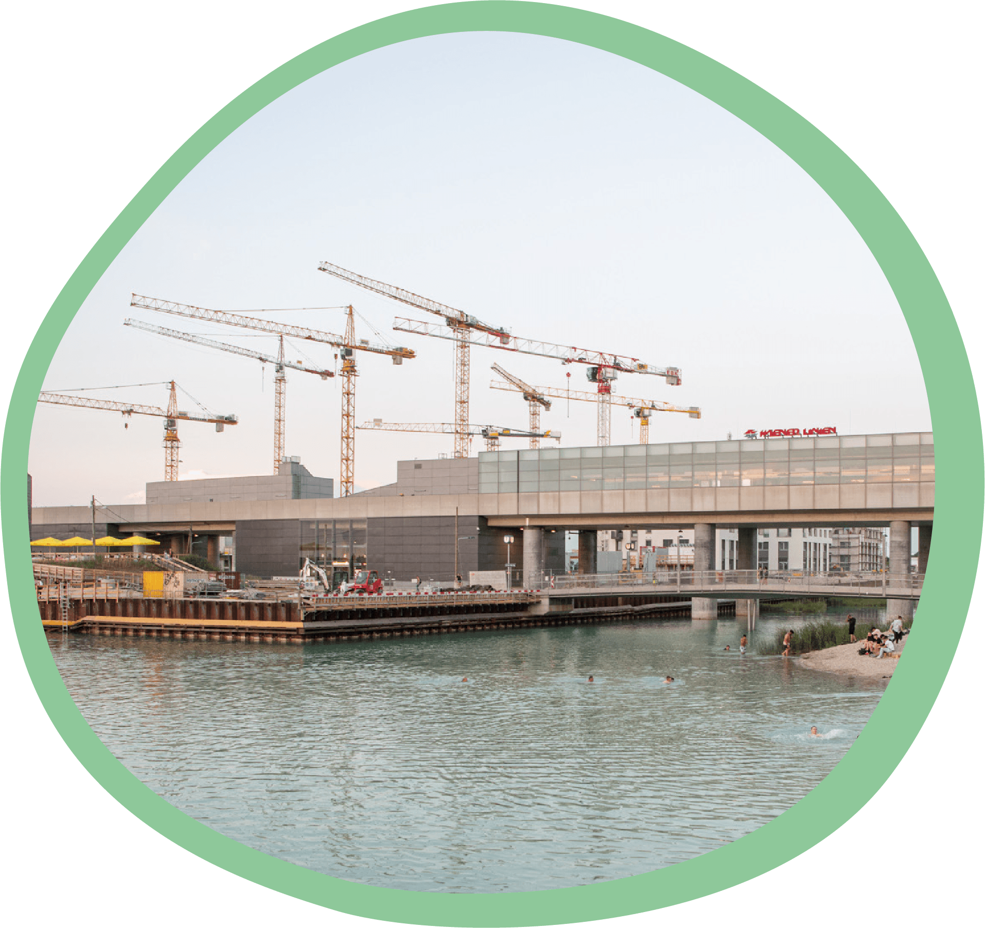 sujet_blob_cranes.png